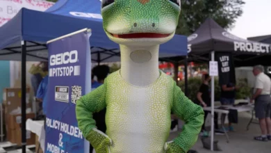 Top 25 Best Geico Slogans and Taglines